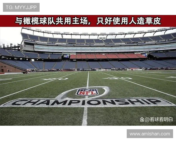 新英格兰对阵温哥华比赛前瞻及胜负预测分析